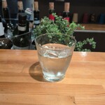 カステロ ヌォーボ - 