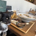 Tsurutontan Udon Noodle Brasserie Karuizawa Japan - 