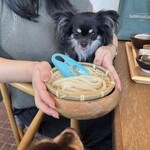 Tsurutontan Udon Noodle Brasserie Karuizawa Japan - 