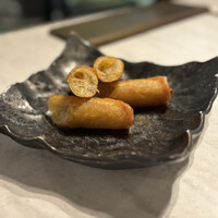 CINA New Modern Chinese - 