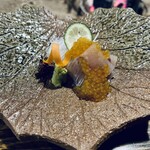 奥飛騨 福地温泉 山里のいおり 草円 - 夕食