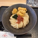 山下本気うどん - 