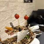 プレゼンテ スギ - ①定点（トマト飴、キプロス塩、イシャナカシグサ）