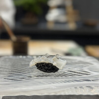鮨 Matsui はなれ - 