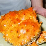 かにじぇんぬ 北のはなれ - 