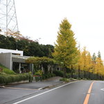 リストランテ　プリマヴェーラ - 