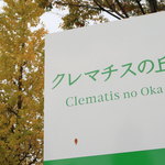 リストランテ　プリマヴェーラ - 