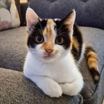 ル・クロ・モンマルトル - 美味かったニャン☆笑笑笑