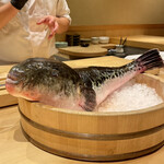 ふぐまどんな - 