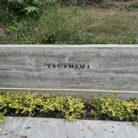 TSUSHIMI - 
