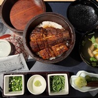 まるや本店 中部国際空港店 -  まるや本店 中部国際空港店 -