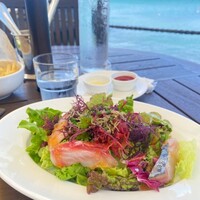 レストラン ラ・マーレ - 