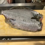 うを徳 - 北海道利尻島産平目3.1㎏サイズ