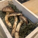 うを徳 - 岩手県大浦松茸