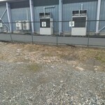 ケンチャンラーメン - 