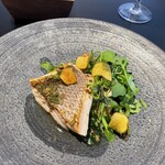 DRAWING HOUSE OF HIBIYA - 