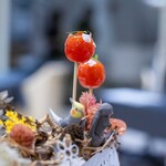 プレゼンテ スギ - 2025.10 定点（トマト飴、キプロス塩、ローズゼラニウム）