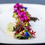 プレゼンテ スギ - 2025.10 Sugi畑をお皿に乗せて（サラダ）