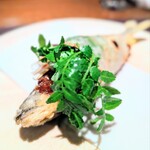 アカ - ガチャミーガス