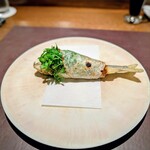 アカ - ガチャミーガス