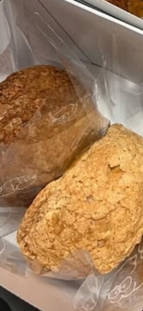 PUPPY choux&coffee photo 2