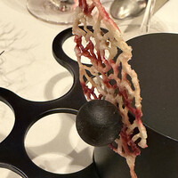 エディション・コウジ シモムラ - 