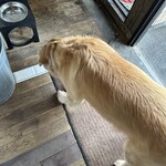 イル・ピッツァイオーロ - 