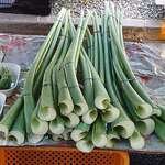 土佐の日曜市 - 