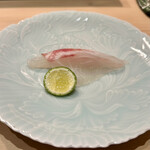 すし 良月 - 神経締めマダイの刺身