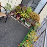 焼鳥 ホルモン おすみ - 