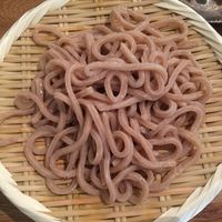 自家製粉石臼挽きうどん 青空blue 本店 - 自家製粉石挽きうどん 青空