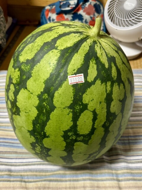 ベコ屋の洋ちゃん - 岡（牛料理）の写真