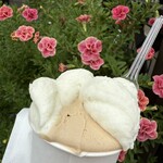 ジェラテリア・イル・ブリガンテ - 