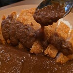 324450234 - ルー大盛り（別皿＋200円）を追いがけ