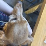 RIGOLETTO spice market - 