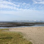 支那ソバ 小むろ - ふなばし三番瀬海浜公園①