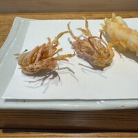 点邑 - 