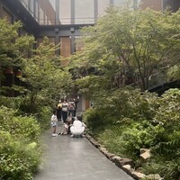 京都 スエヒロガリ - 