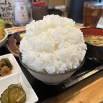 わ楽 - 本日も控えめな“ハマさん盛り”でしたが…