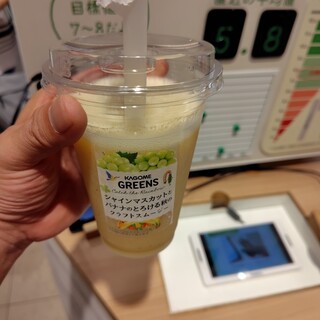 カゴメ グリーンズ キャッチザレインボー_0