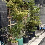 セルサルサーレ - 外観　緑に囲まれています