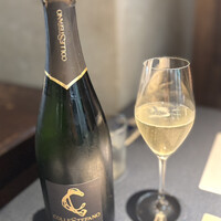 セルサルサーレ - スプマンテ ドサッジョ ゼロ 2021 コッレステファノ スパークリング