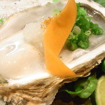 はてなのちゃわん - トゥルンと新鮮☆♪