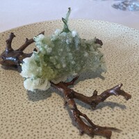 レストラン・モリエール - 