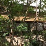 かんだやぶそば - 2014.11 火事のあと新店舗