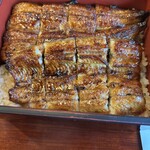 うなぎ創作 鰻樹 - 