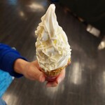 道の駅 みそぎの郷 きこない - 料理写真:みそぎの塩ソフトクリーム