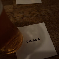 CICADA - 