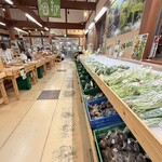 道の駅 サンピコごうつ - 