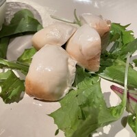 オービカ モッツァレラバー 梅田店 - 